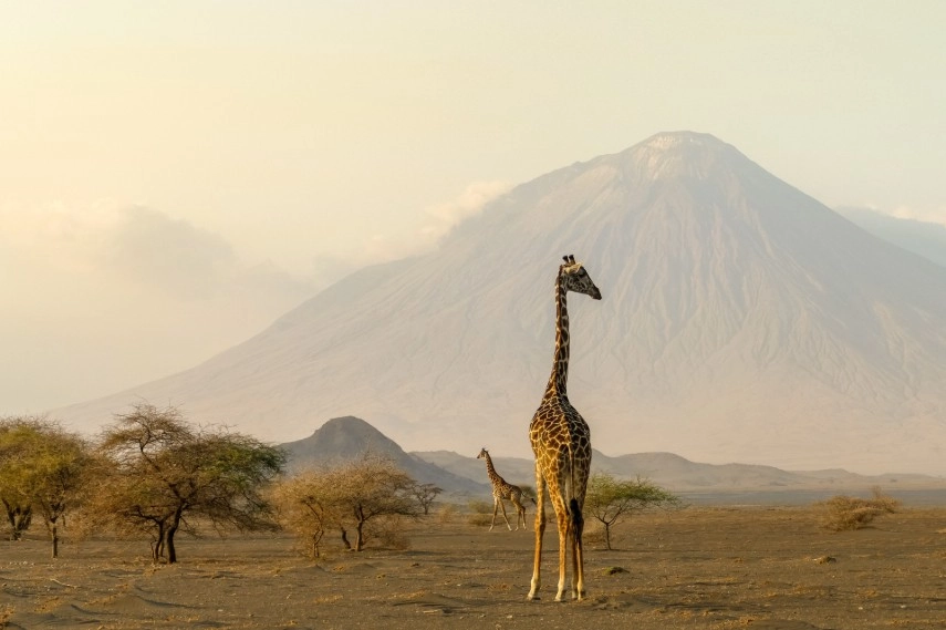 Ngorongoro crater in Tanzania to visit in August