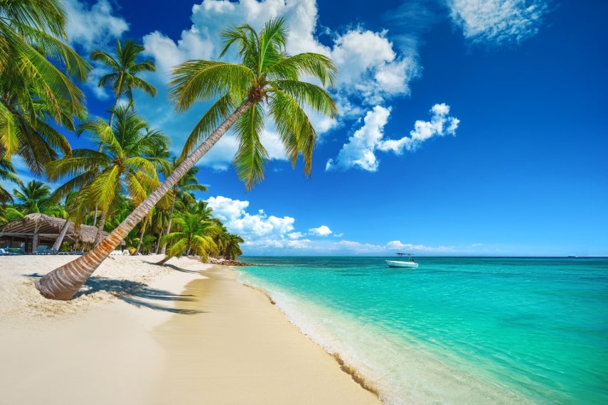 Island beach at caribbean sea to visit in January