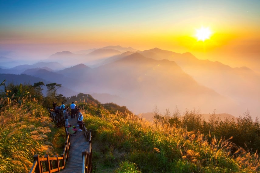 Walking path in Alishan Natural Park in Taiwan 