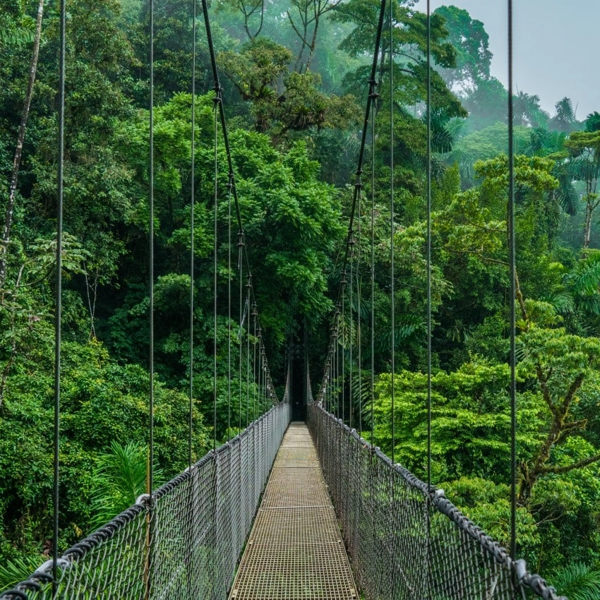 Costa Rica arenal hanging bridge
