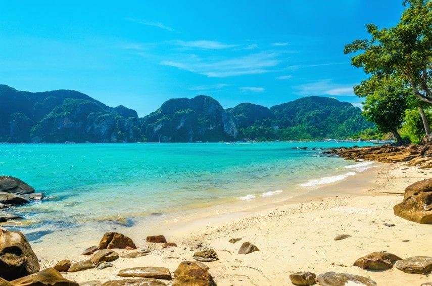 Fabulous beach with exotic plants in Grenada