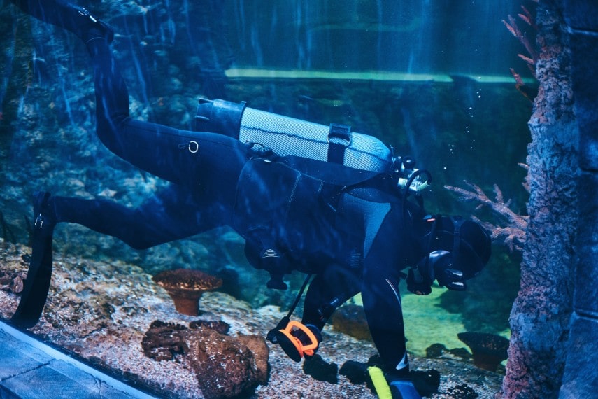 Scuba diving in Dubai