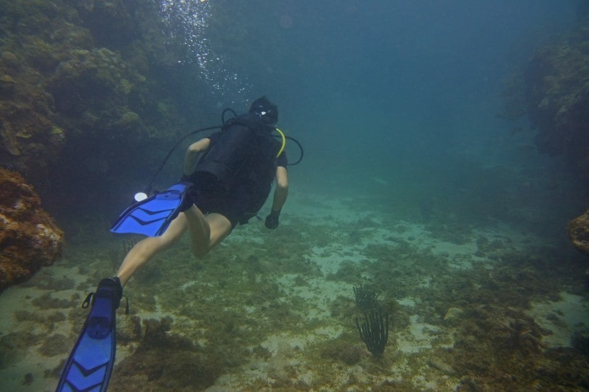 snorkelling in Grenada in April