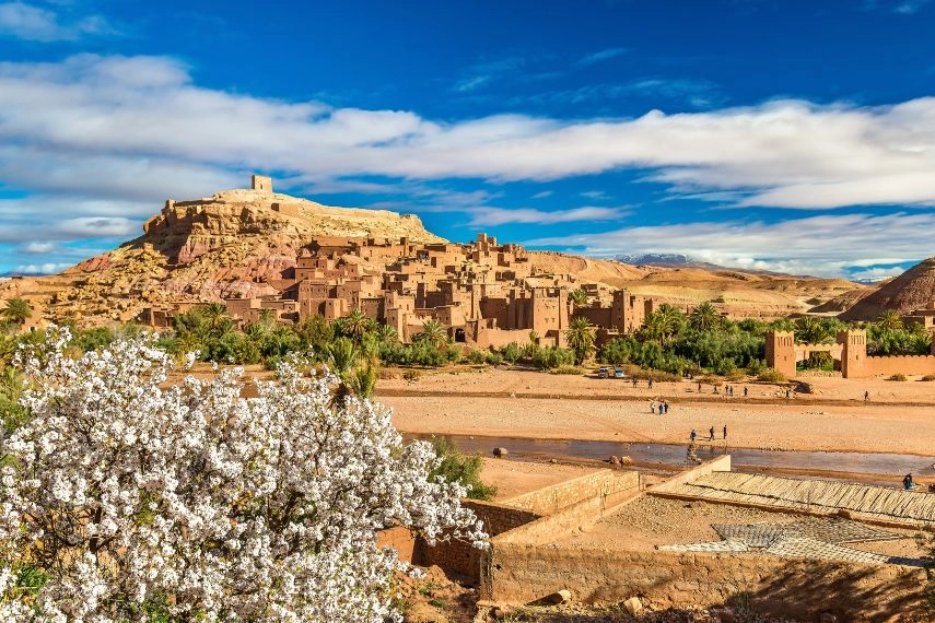 Ait Benhaddou and fruit tree blossoms - Morocco