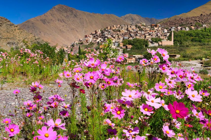 Visit at Atlas Mountains, South Morocco, Africa in Spring