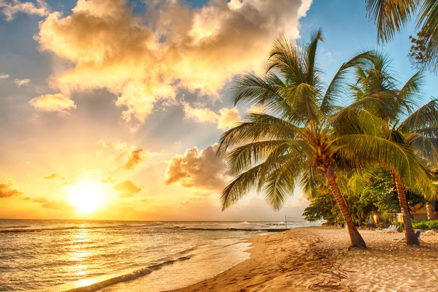 Visit Barbados