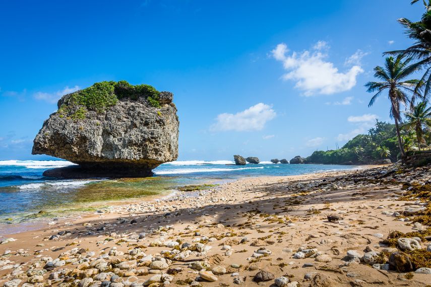 Visit at Bathsheba Beach, Barbados
