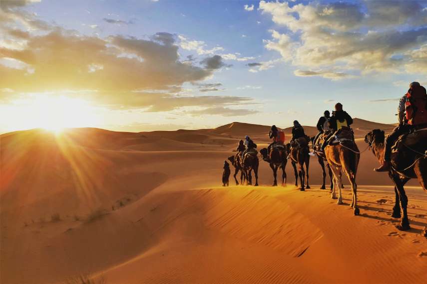 Experience Adventures like Camel Caravan through the Desert Sahara, Morocco