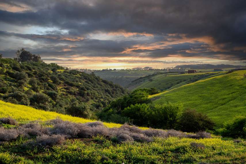 Visit at Lush Green Valleys, Morocco In March