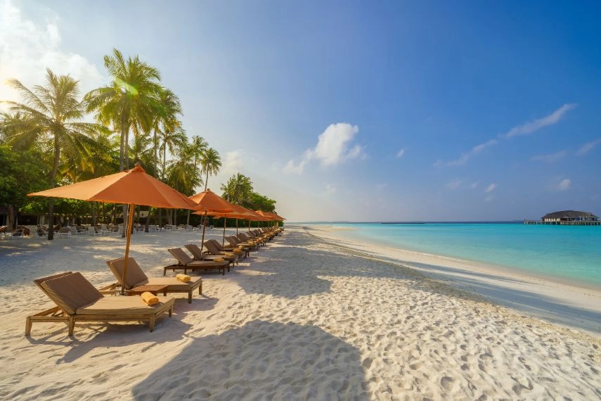 Tropical island beach, Barbados