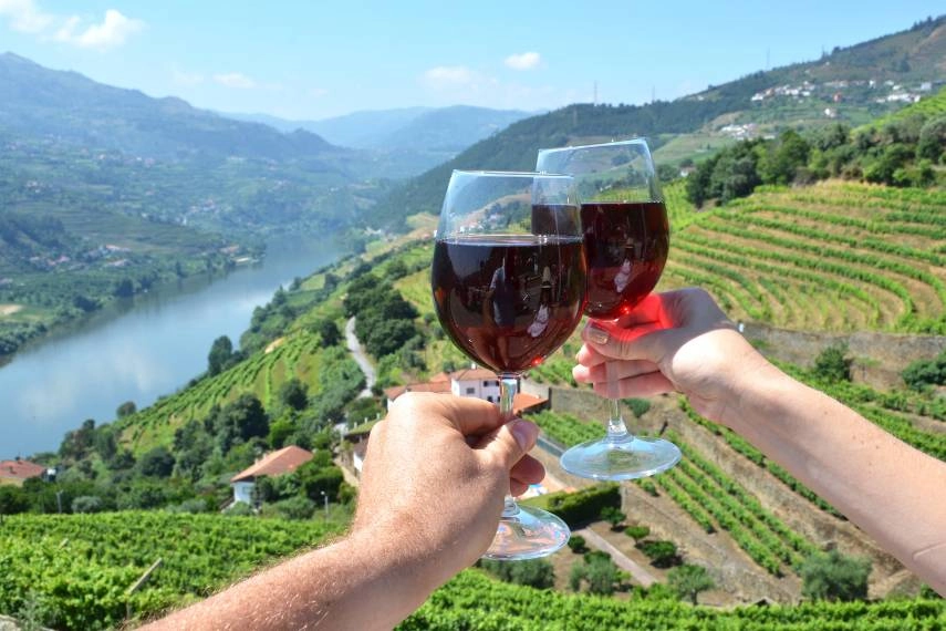 Visit at vineyards Douro Valley, Portugal