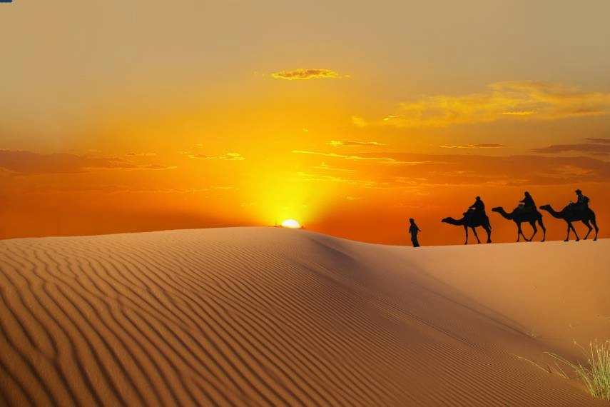 camel caravan in the desert Sahara Morrocco