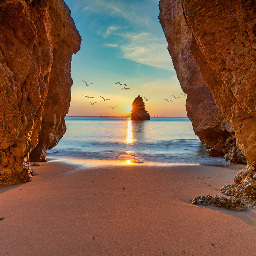 Visit at Portugal in April