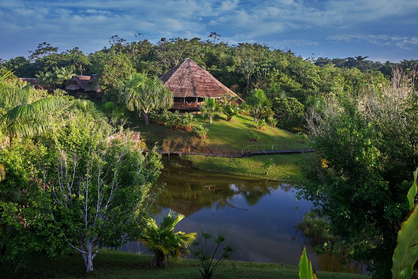 Amazon's wild beauty in Loreto Peru