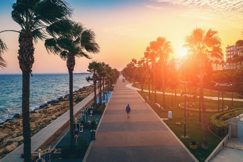 famous Cyprus alley with palms