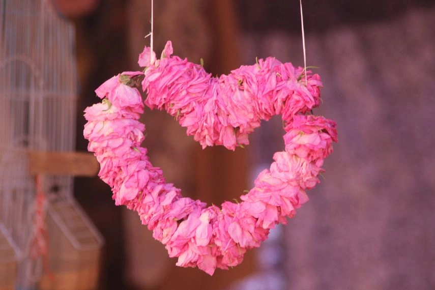 Heart Shaped Pink Roses, Kelaat Mgouna, Morocco