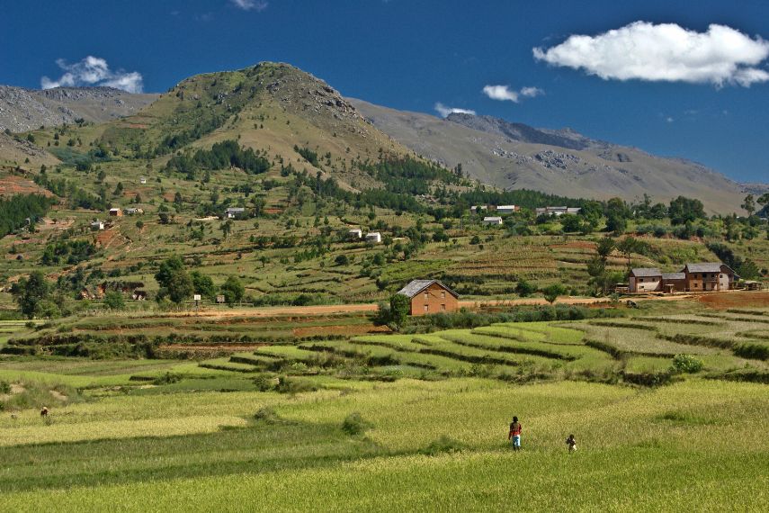 landscape of lush green rice paddies in the central highlands of madagascar
