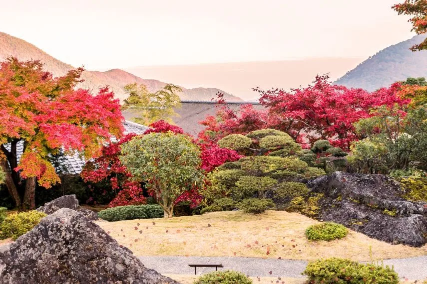 Beautiful autumn scene at Toyko, Japan