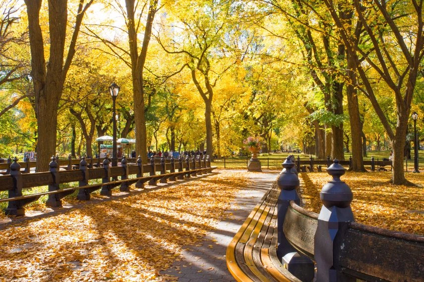 Central Park in New York City on colorful autumn day