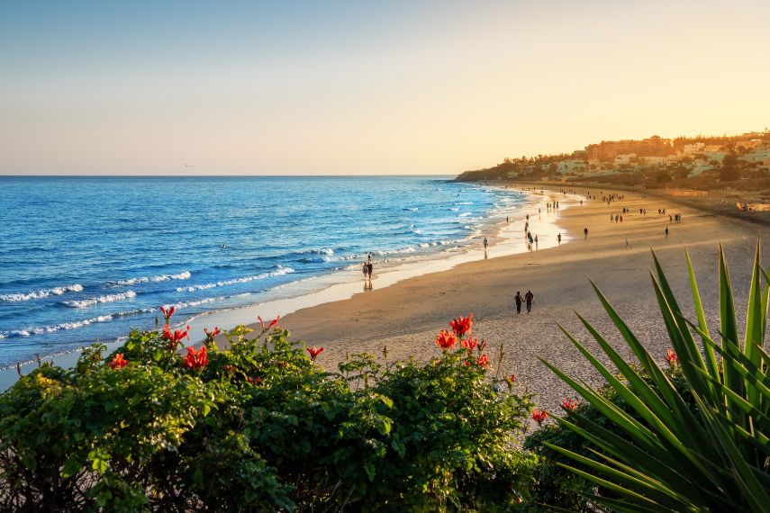 Costa Calma beach in the sunset light with people enjoying the summer vacation on the Atlantic Ocean coast in Fuerteventura Island in Canaries