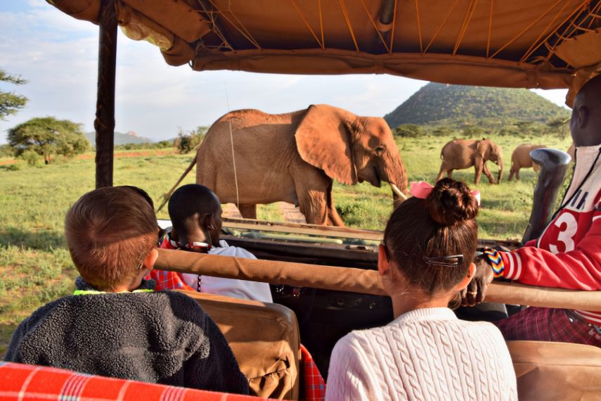 electric safari to see the Sheldrick’s elephant in Kenya