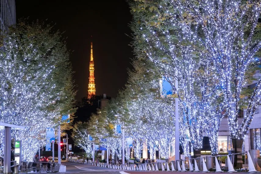 Illuminated Roppongi Keyakizaka Street and Tokyo Tower during winter