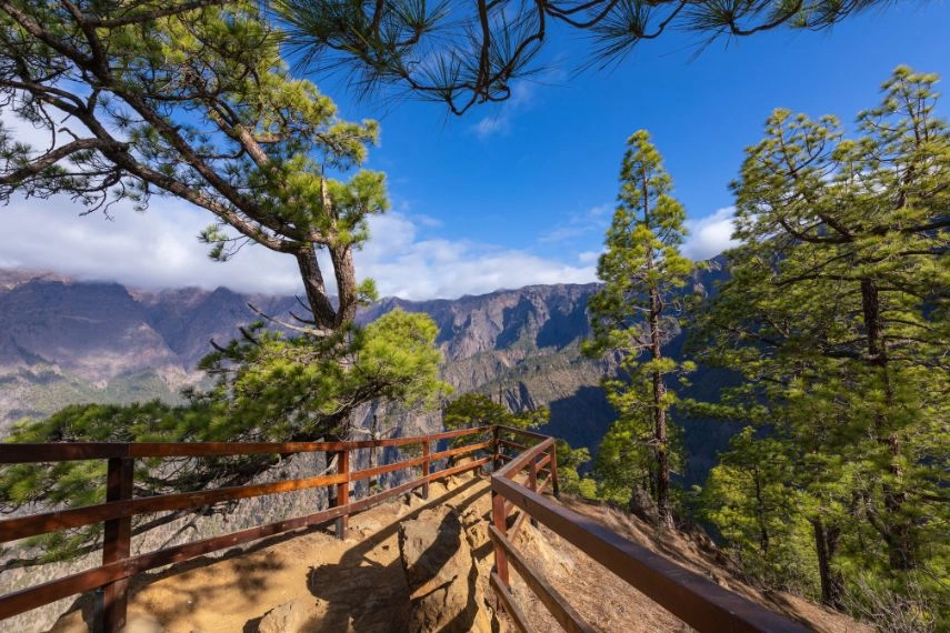 Pine forest at Caldera de Taburiente National Park. Viewpoint La Cumbrecita, La Palma, Canary Island, Spain.
Downloaded
Save to Library
Preview Crop
Find Similar
File #: 320327127
Pine forest at Caldera de Taburiente National Park. Viewpoint La Cumbrecita, La Palma, Canary Island