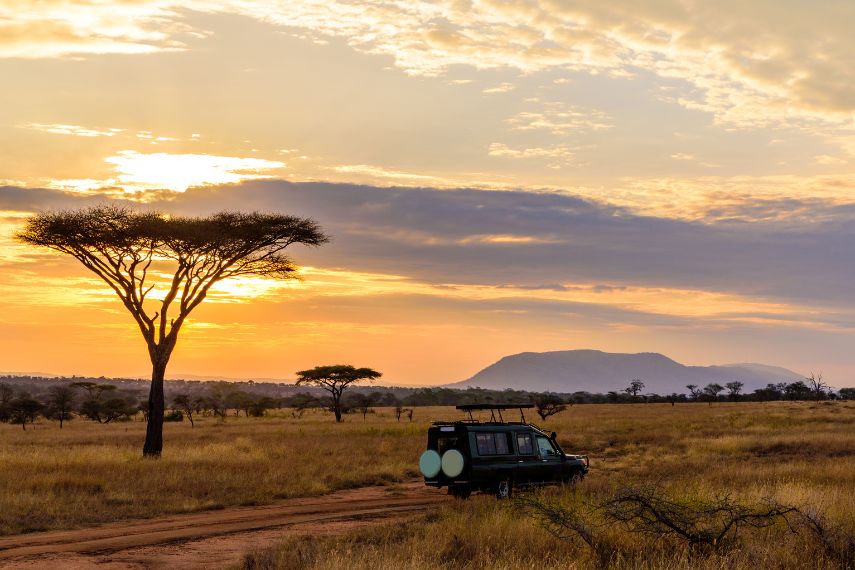 Safari in Serengeti of Tanzania
