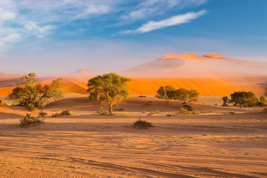 Sand dunes in the Namib desert at dawn