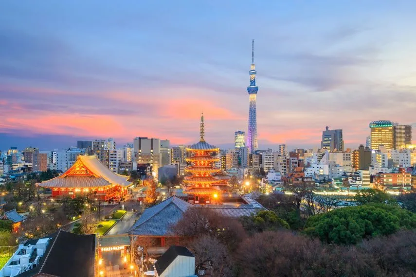 View of Tokyo skyline at twilight