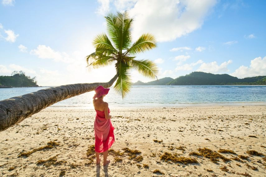female tourist with pink sarong under coconut palm tree, seychelles