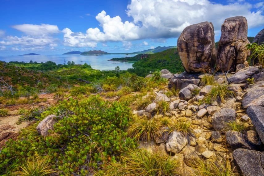 hiking through the jungle on curieuse island on the seychelles