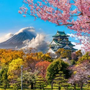 Osaka Castle and full cherry blossom