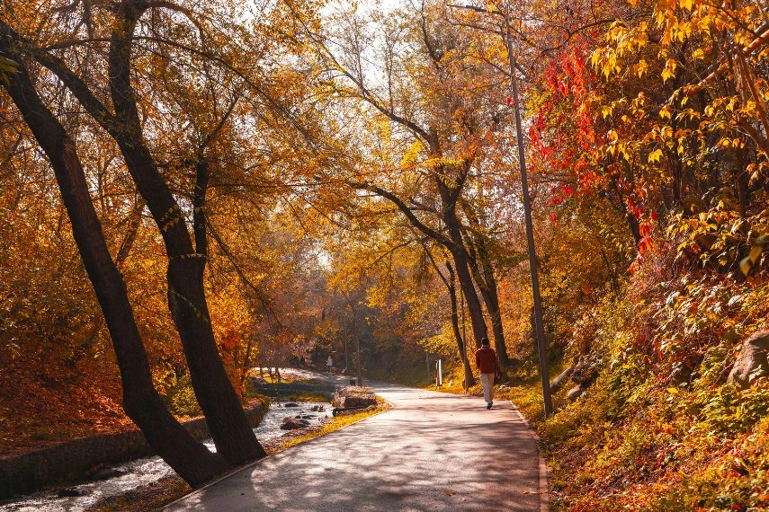 Terrenkur walking trail in autumn, Almaty city