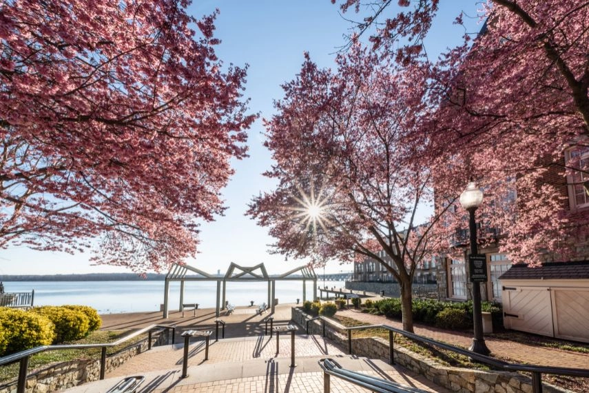 Alexandria