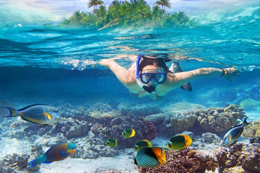 Snorkeling in the Indian Ocean