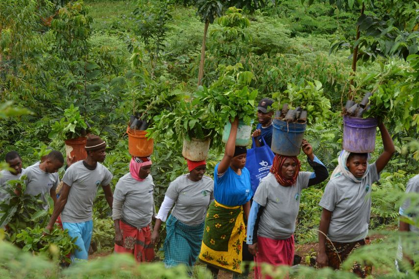 Luxtripper tree planting Tanzania