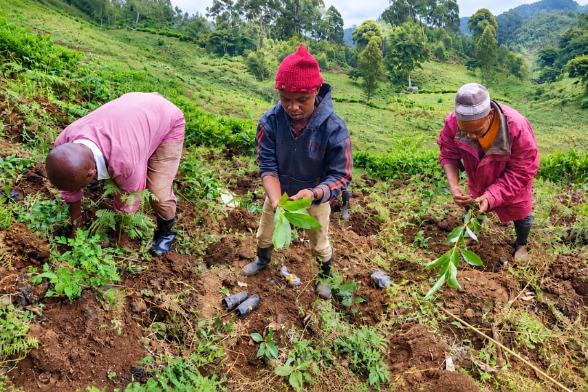 Tree Planting in Tanzania by Luxtripper