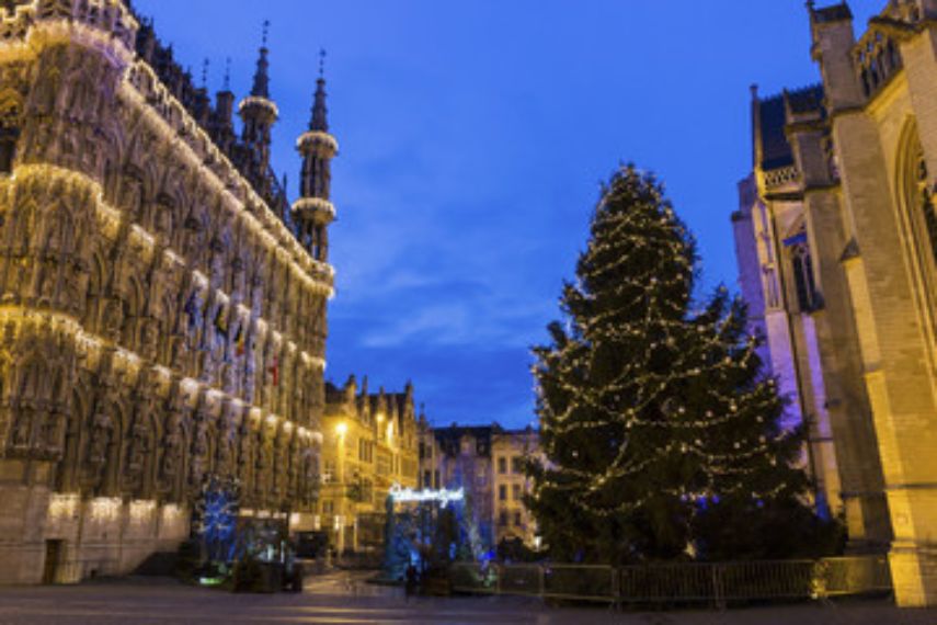 Leuven Christmas market leuvense kerstmarkt