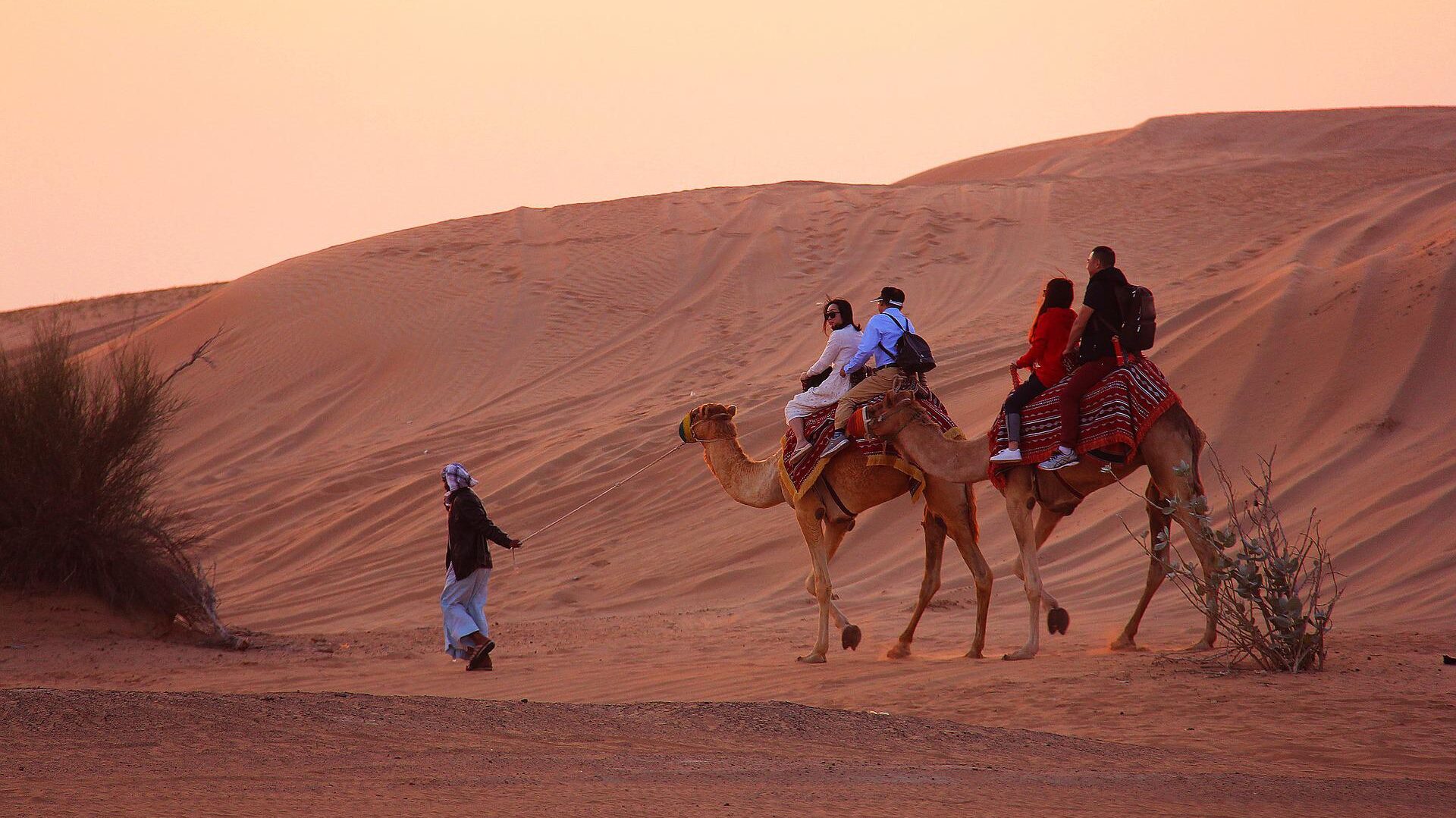Dubai evening safari