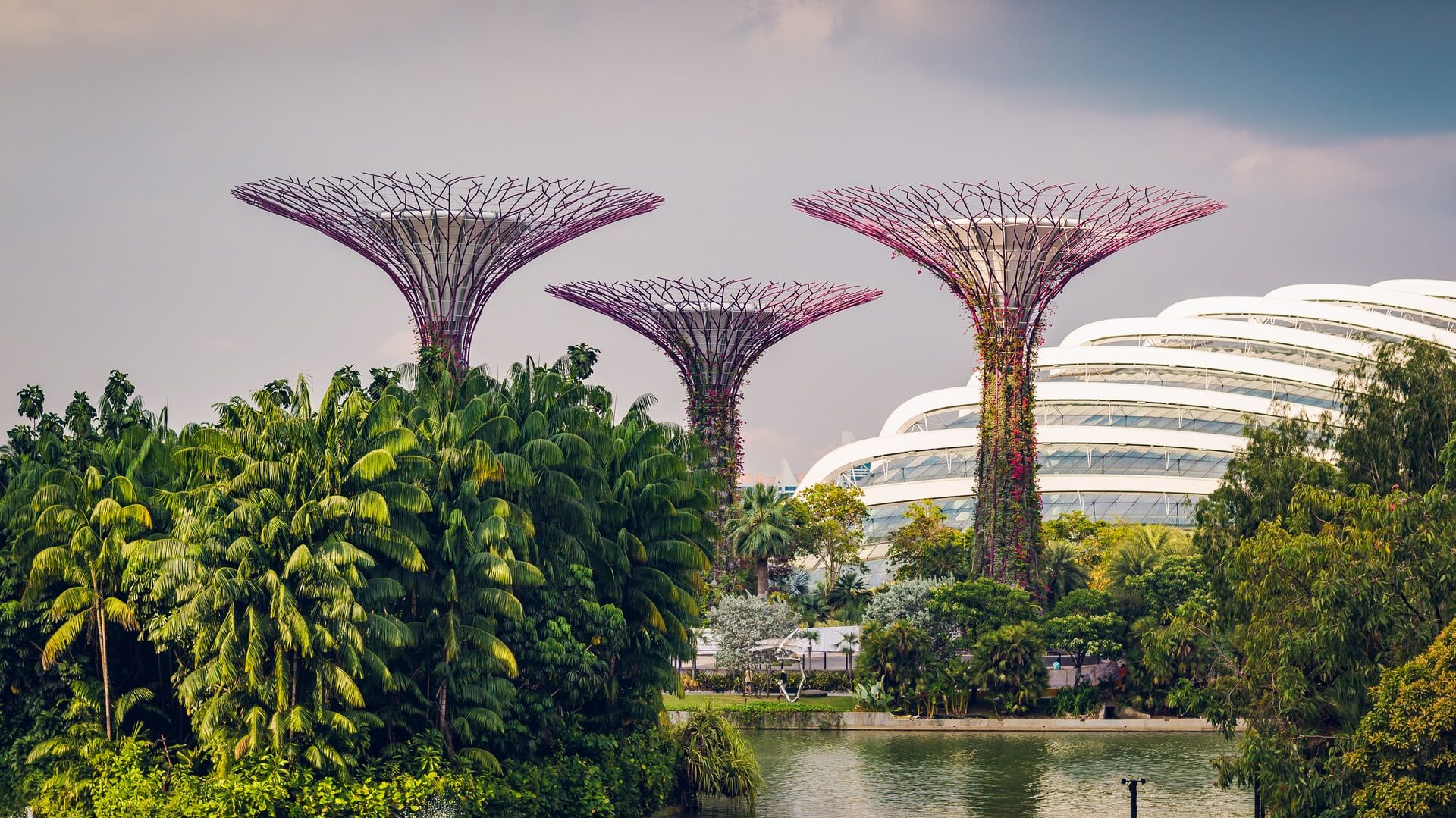 Gardens by the Bay in Singapore